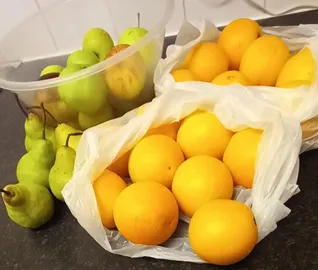 An image of apples in a bowl, pears on the top of a kitchen worktop and oranges in white plastic bags to illustrate the post.