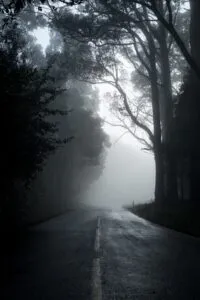Image of a dark and misty road with overhanging trees to illustrate post