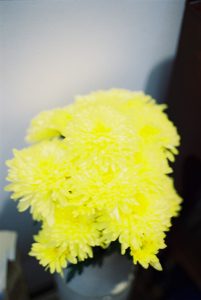 Image of yellow carnations in a vase, used to illustrate post.