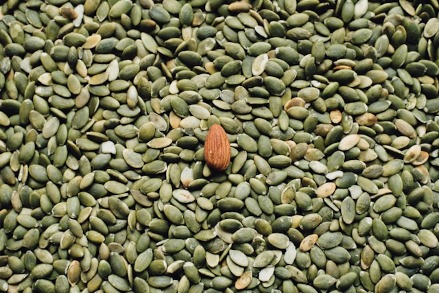 Image of several seeds, with one growing in the middle, used to illustrate post